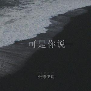 刘德斌 - 可是你说（沧桑男声伴奏）(伴奏).mp3