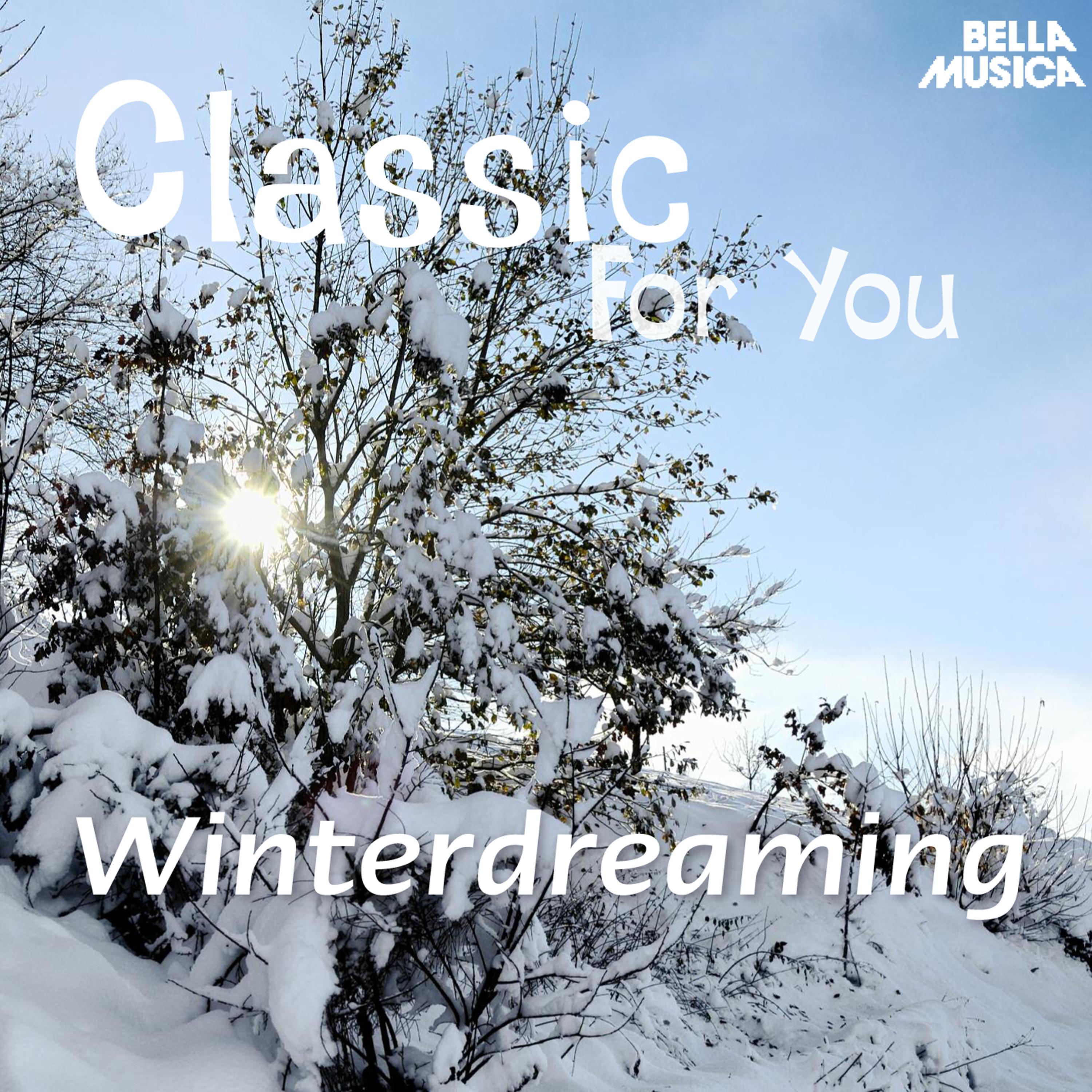 Album für die Jugend, Op. 68: No. 38, Winterzeit I