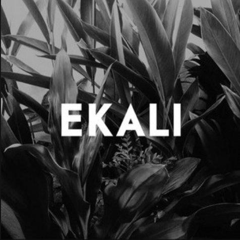 Awakening丨Ekali 唤醒你的曼妙旋律