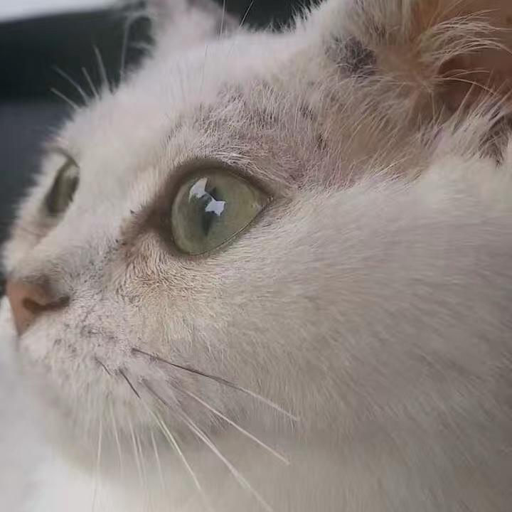 五一