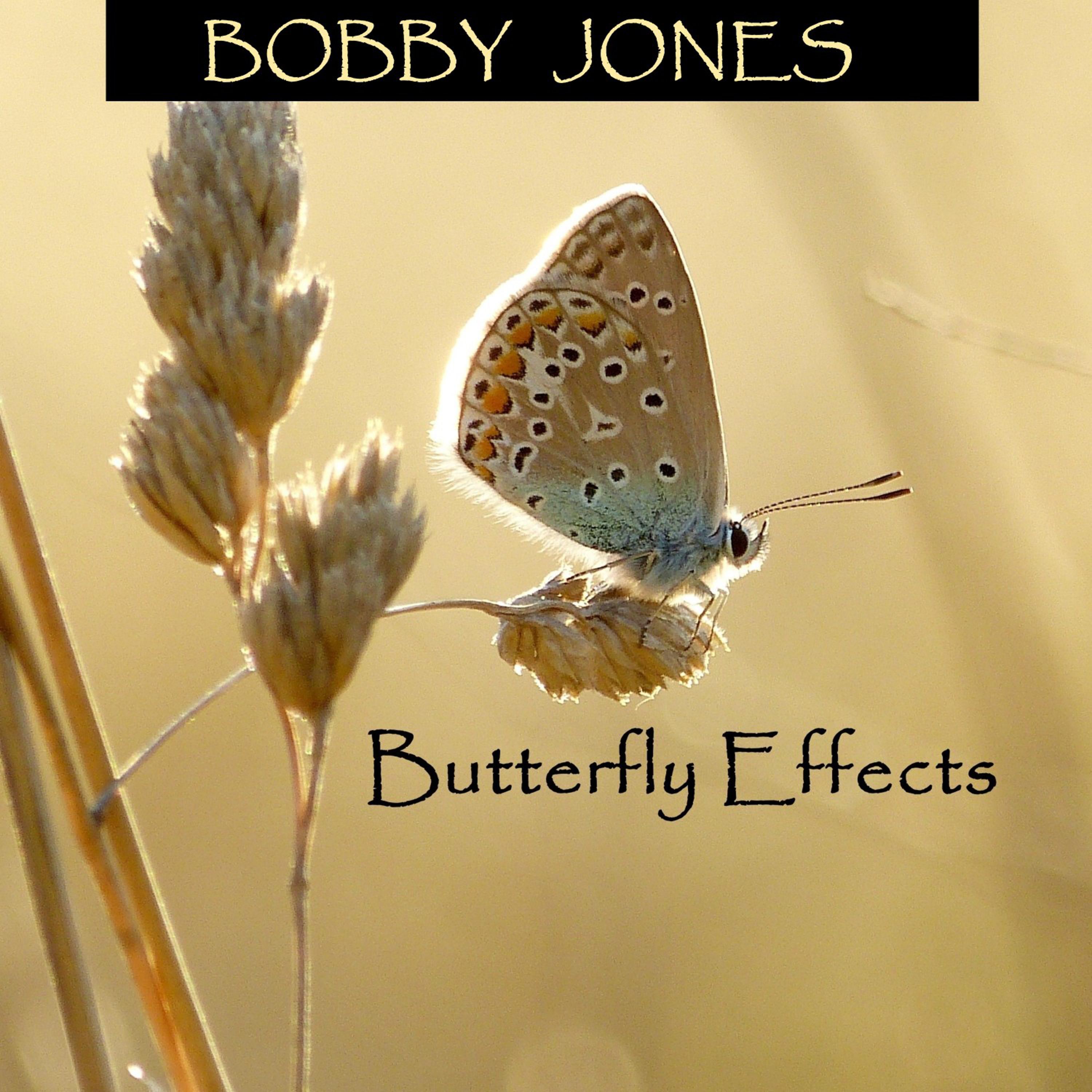 Butterfly Effects