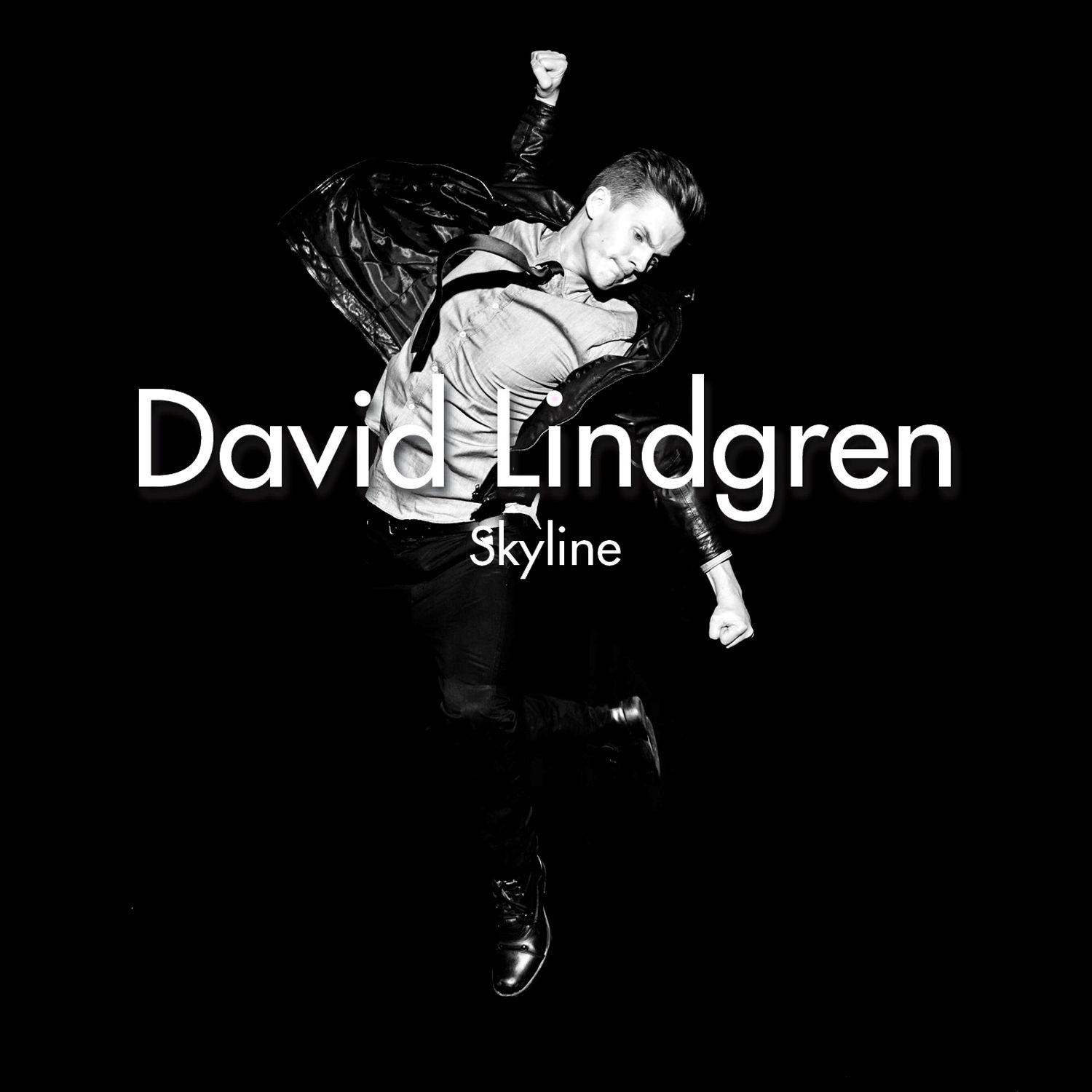 David Lindgren - Amnesia