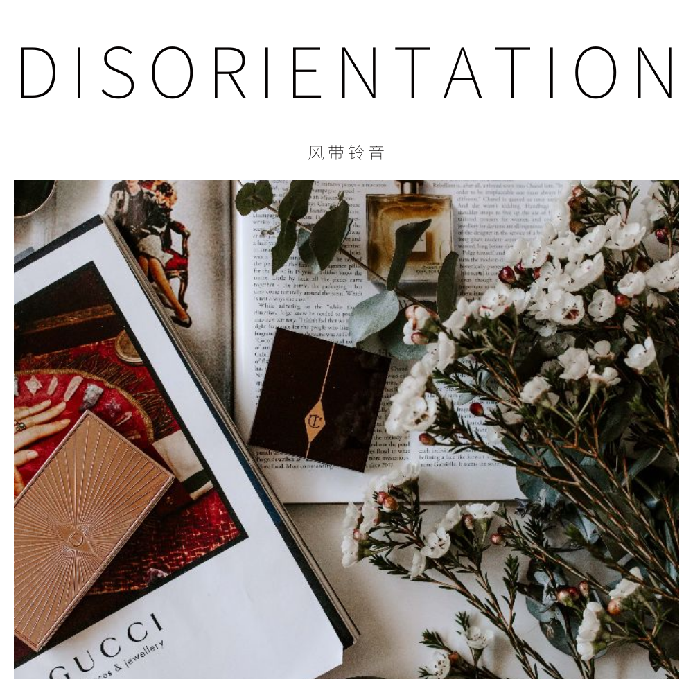 DISORIENTATION专辑