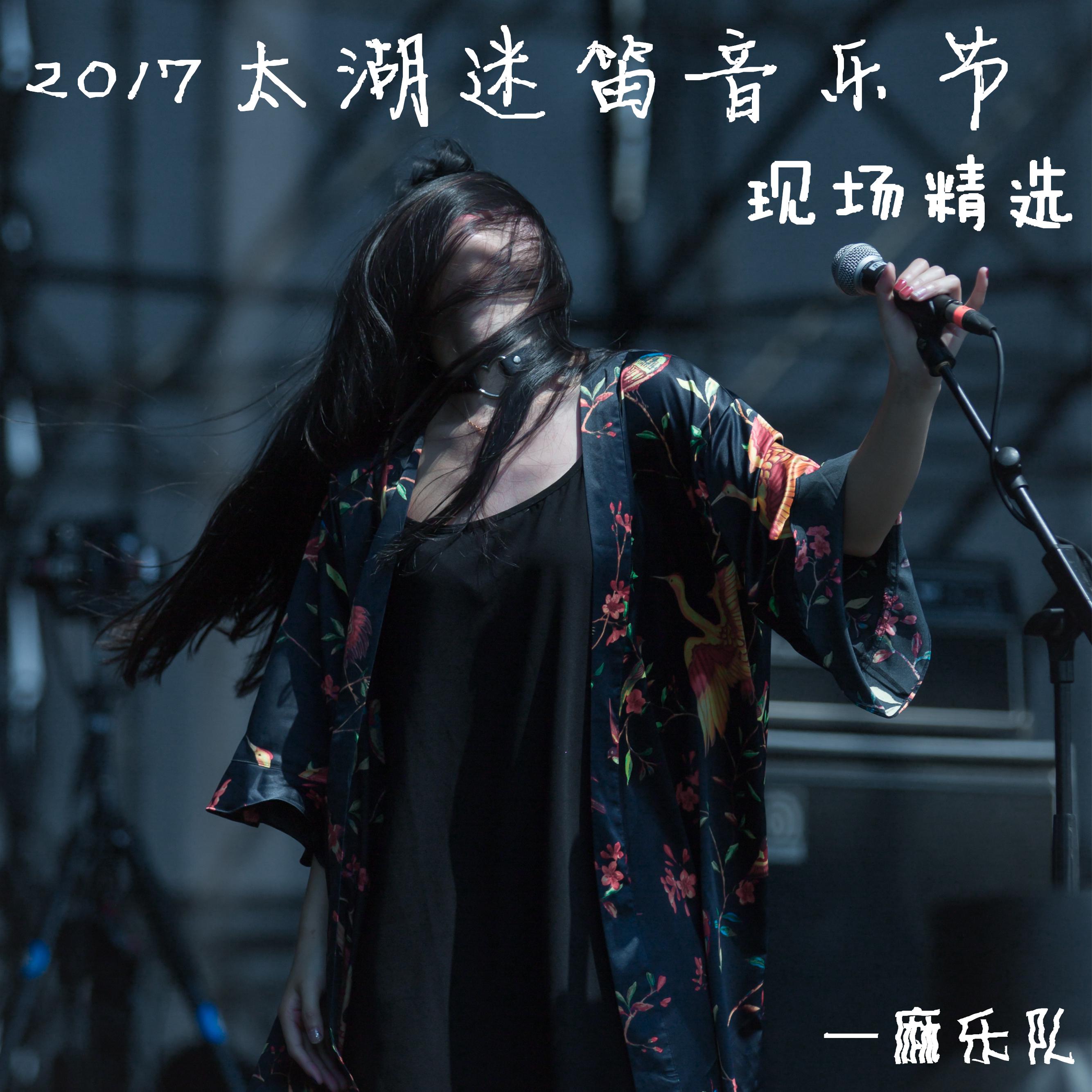 2017太湖迷笛音乐节现场精选专辑