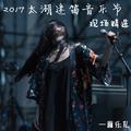 2017太湖迷笛音乐节现场精选