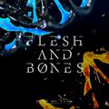 血肉之驅FLESH AND BONES