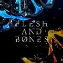 血肉之驅FLESH AND BONES专辑