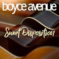 Boyce Avenue - Sweet Disposition (Pre-V) 带和声伴奏