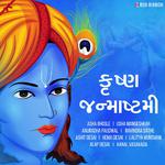 Krishna Janmashtami - Gujarati专辑