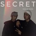 秘密 (prod by prima)专辑