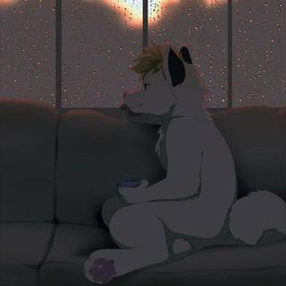 致兽圈（兽迷）/Changed/兽控