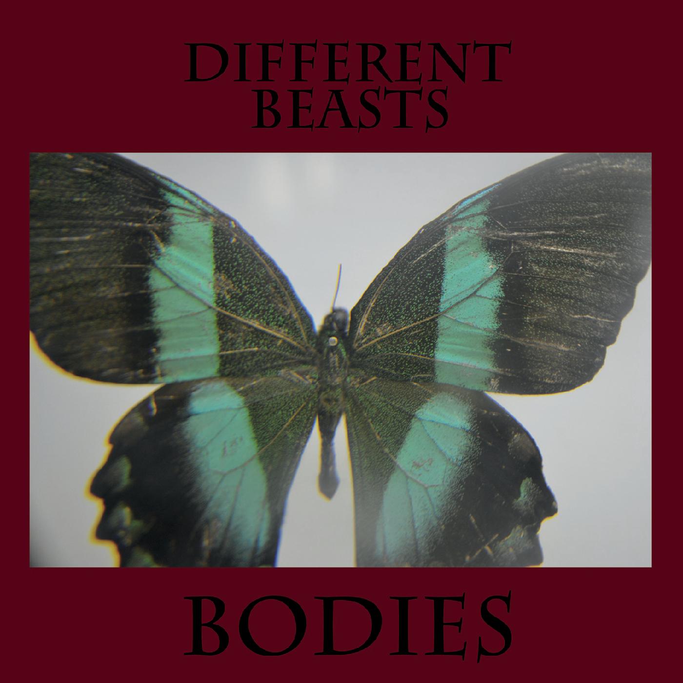 Different Beasts
