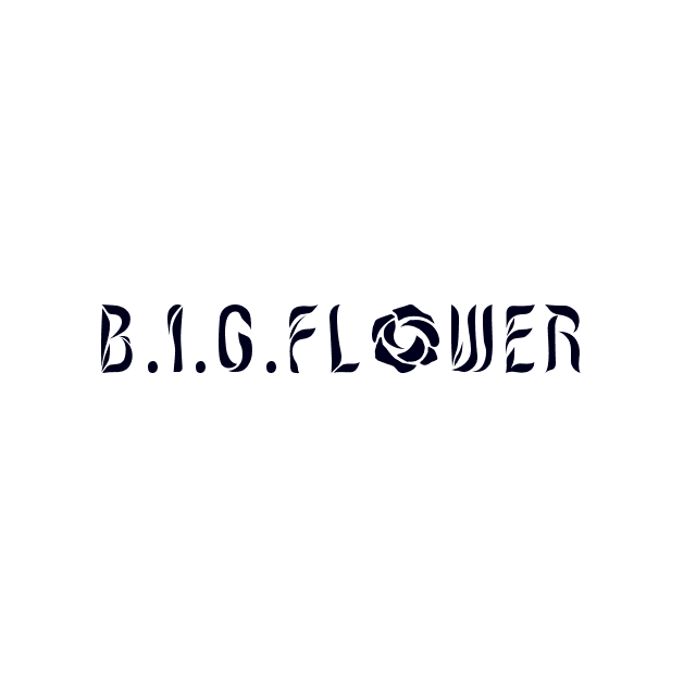 B.I.G.FLOWER专辑