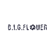 B.I.G.FLOWER