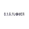 B.I.G.FLOWER