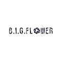 B.I.G.FLOWER专辑