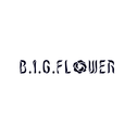 B.I.G.FLOWER专辑