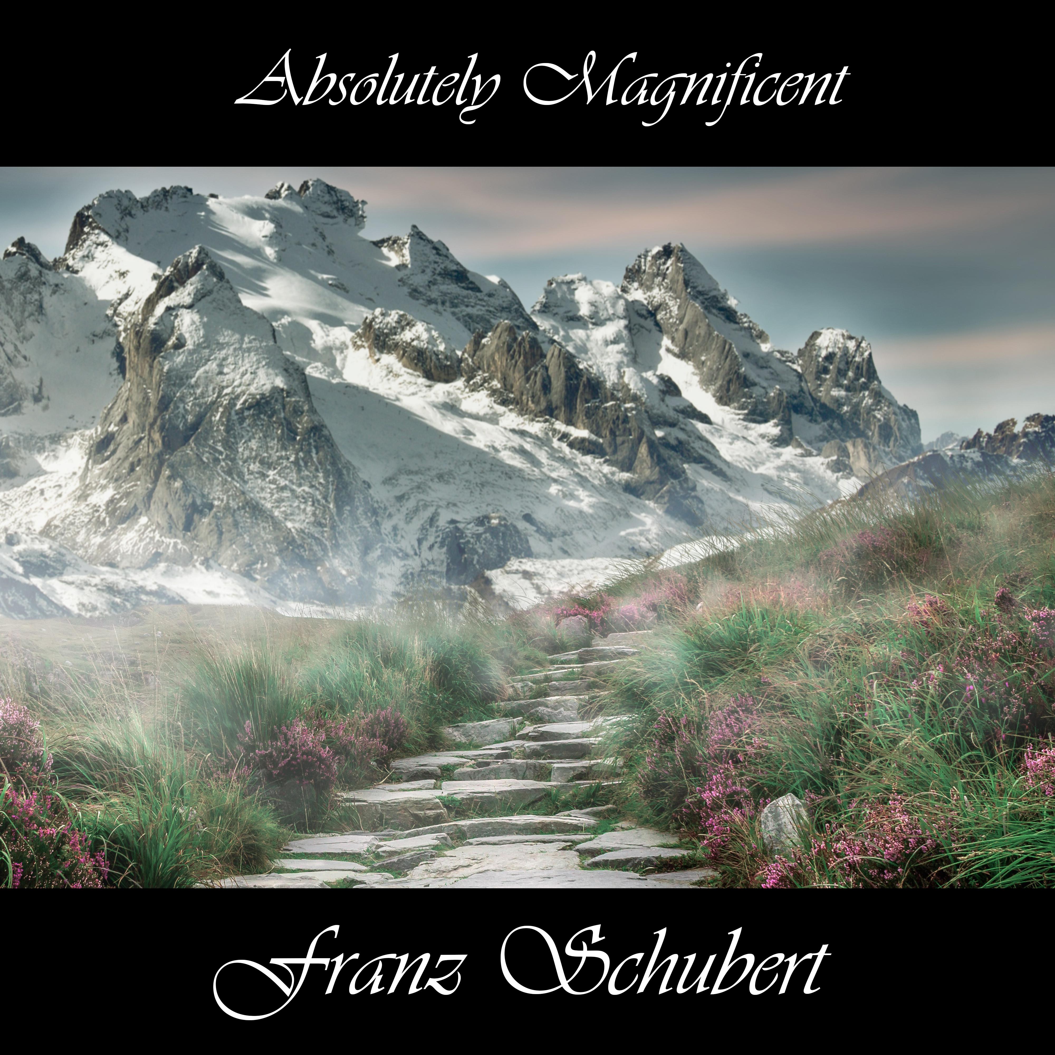 Absolutely Magnificent Franz Schubert专辑