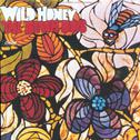 Wild Honey (Remastered)专辑