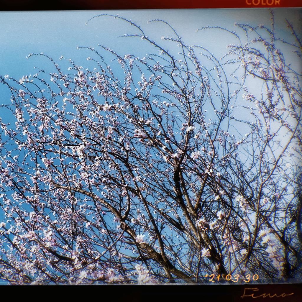 ｛夏日歌单｝City Pop