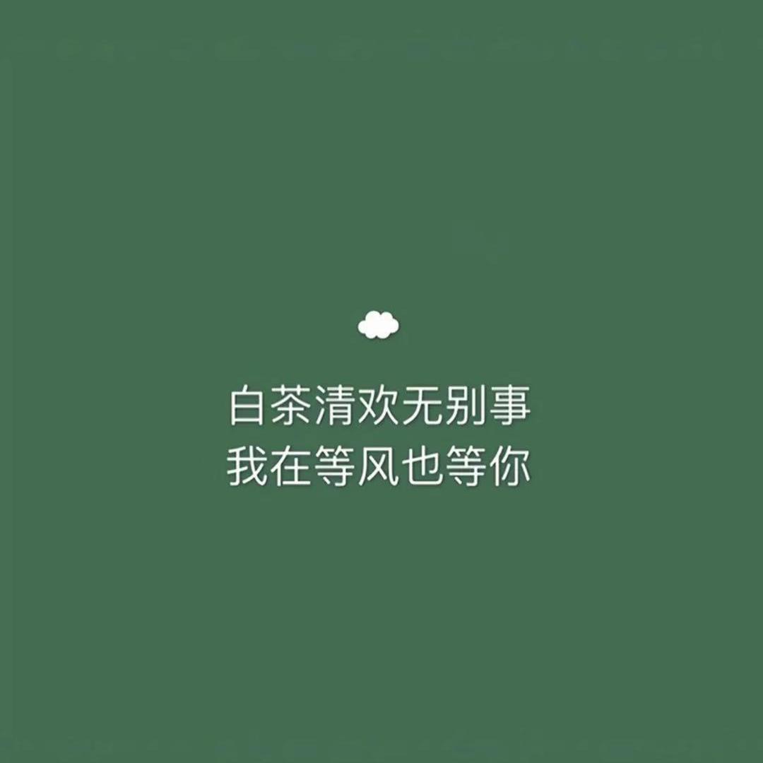 愿你三冬暖春不寒