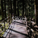 Silva专辑