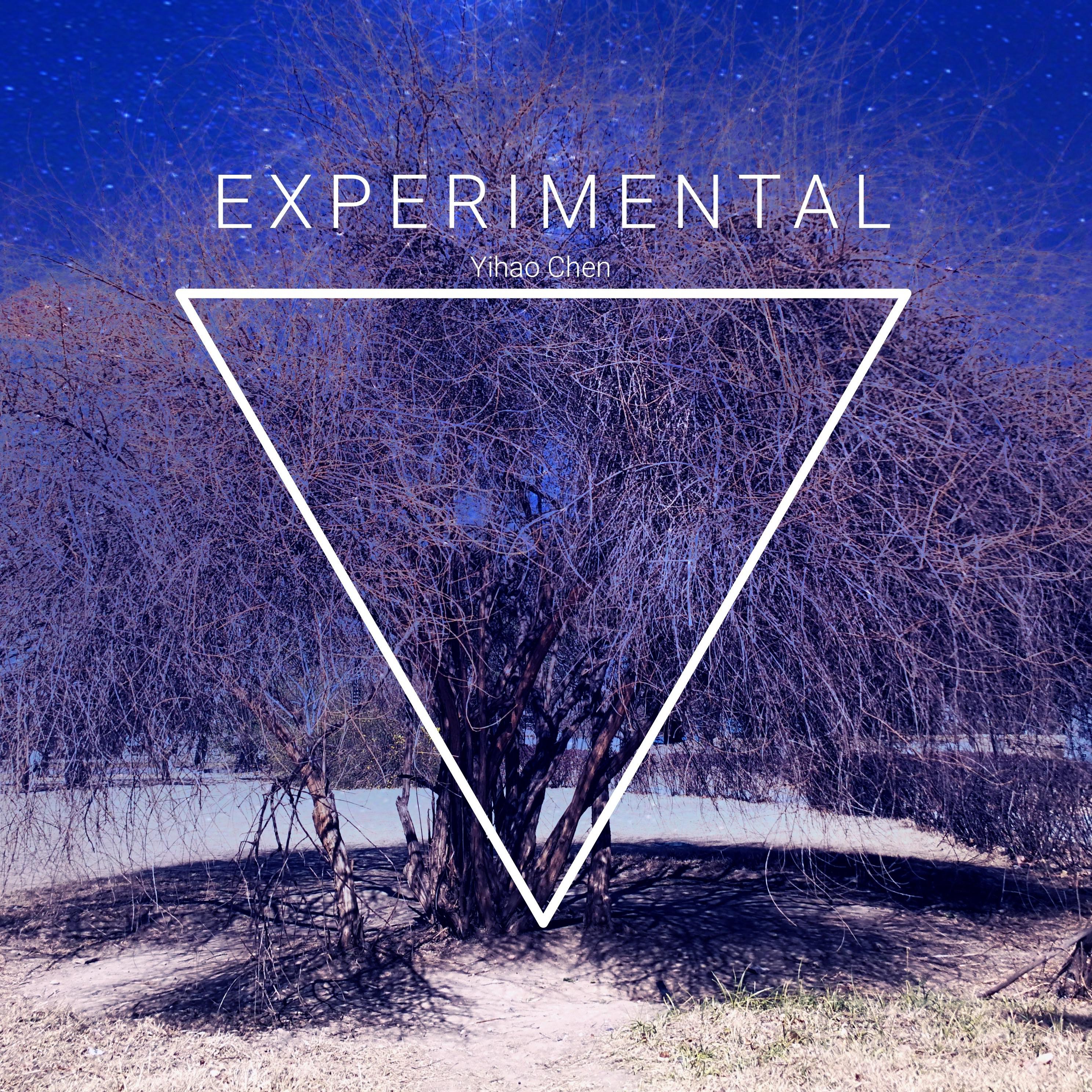 Experimental专辑