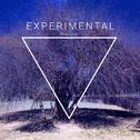 Experimental专辑