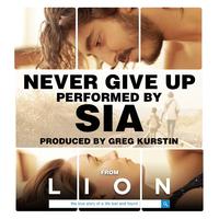 Sia - Never Give Up (karaoke)