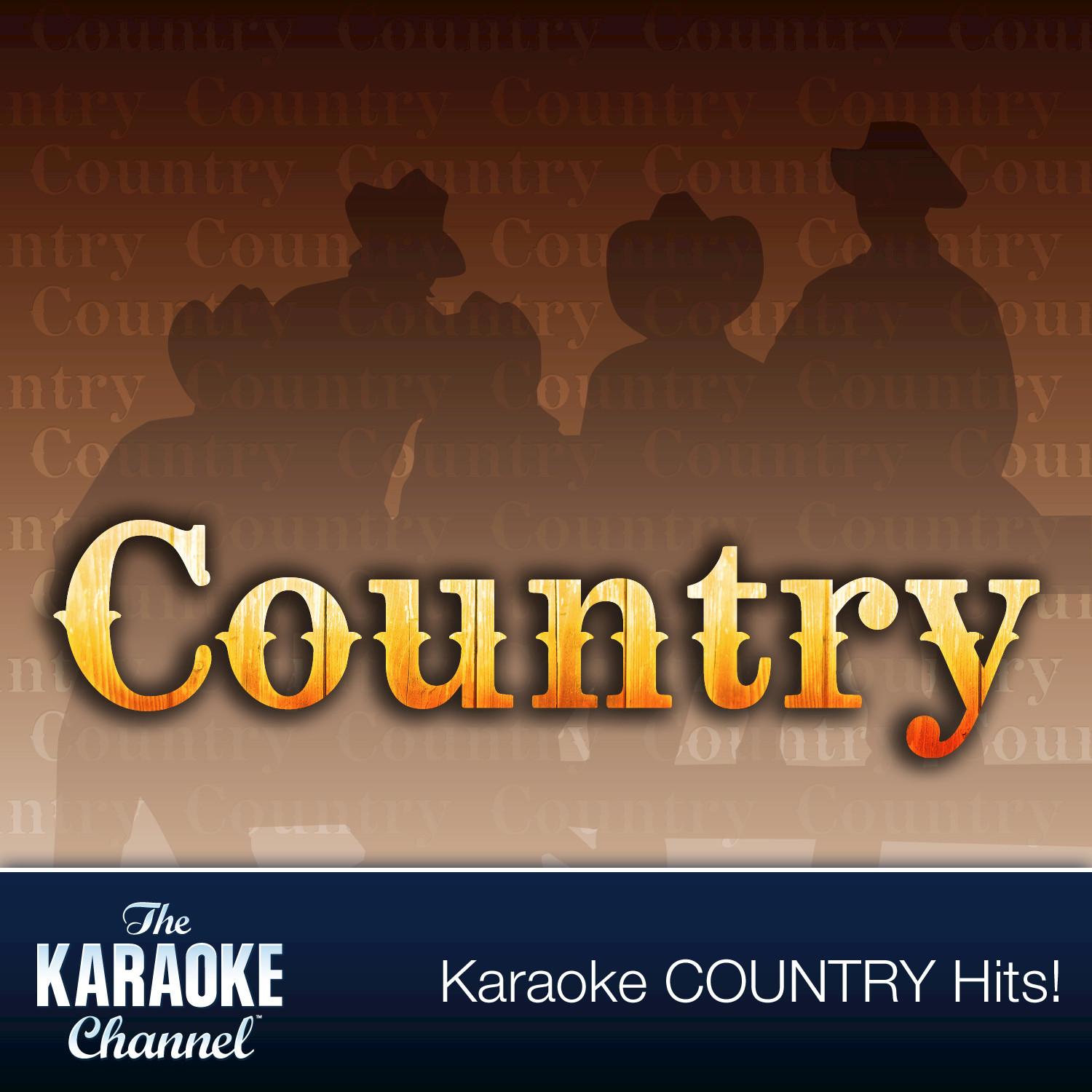 The Karaoke Channel - Top Country Hits Hits of 2003, Vol. 10