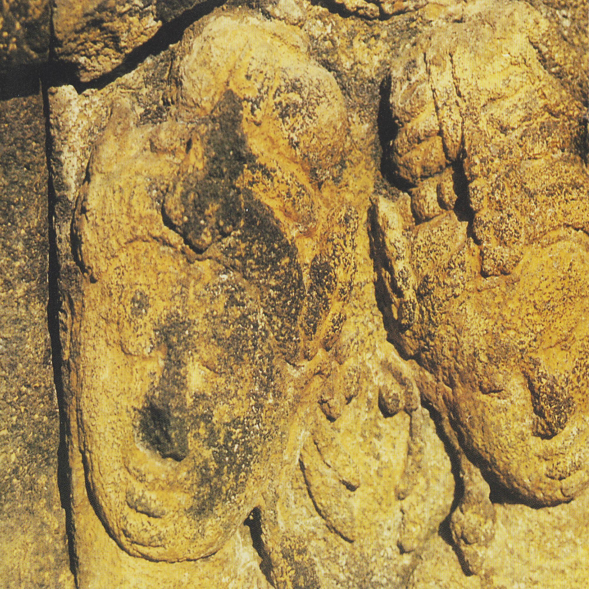 1996