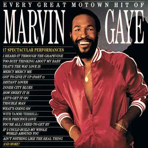 Marvin Gaye - I Heard It Through the Grapevine (VS karaoke) 带和声伴奏