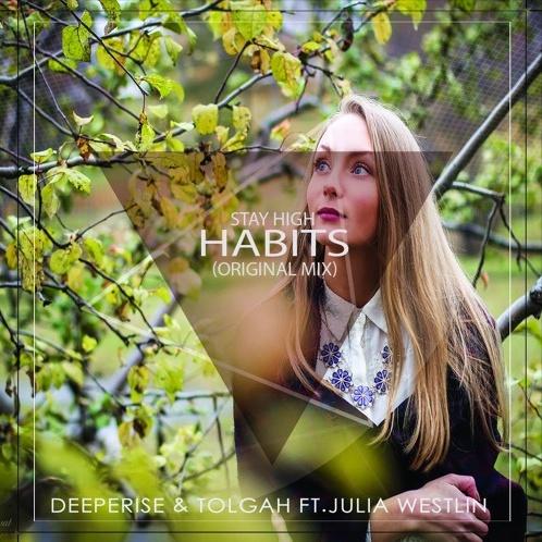 Habits (Original Mix)