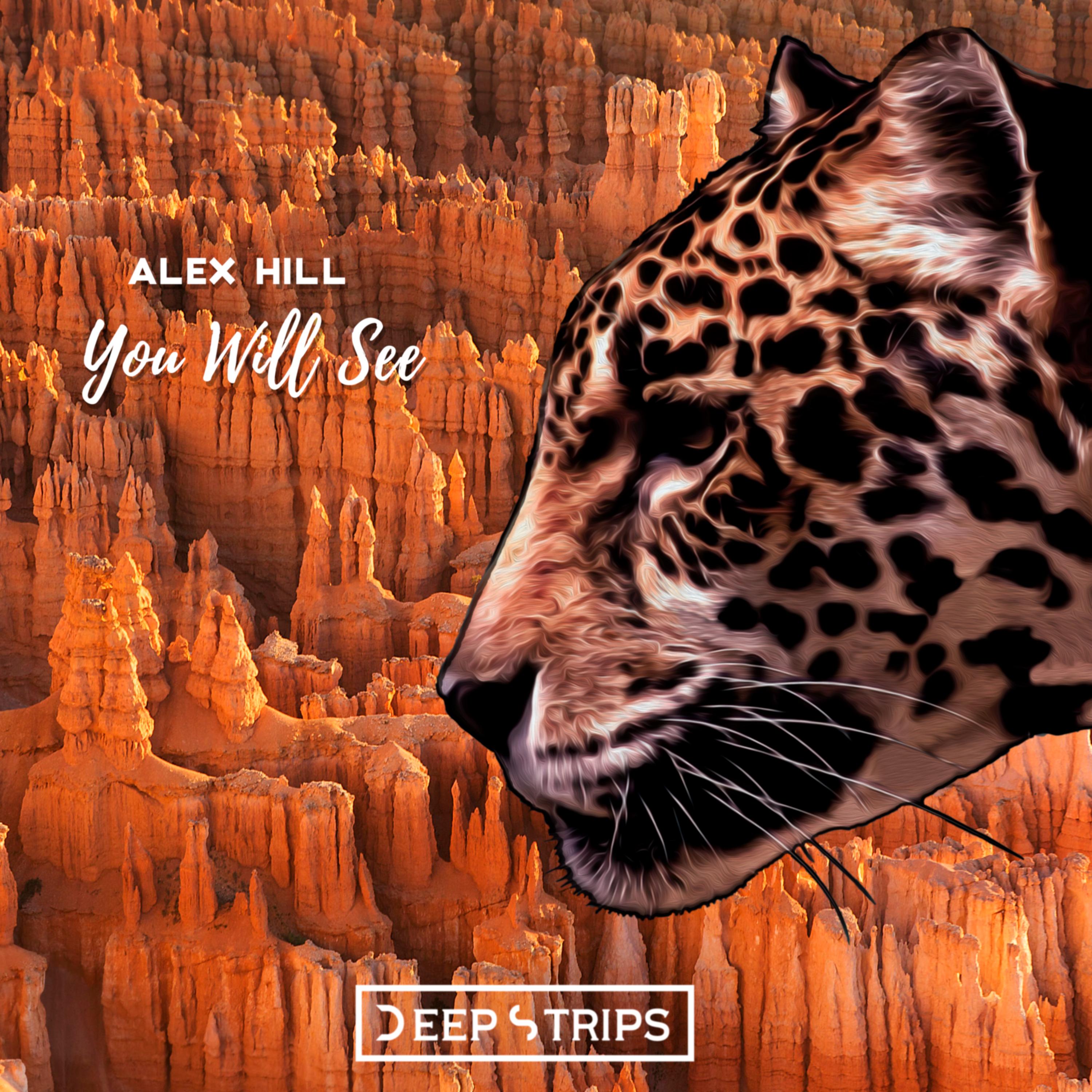 You Will See