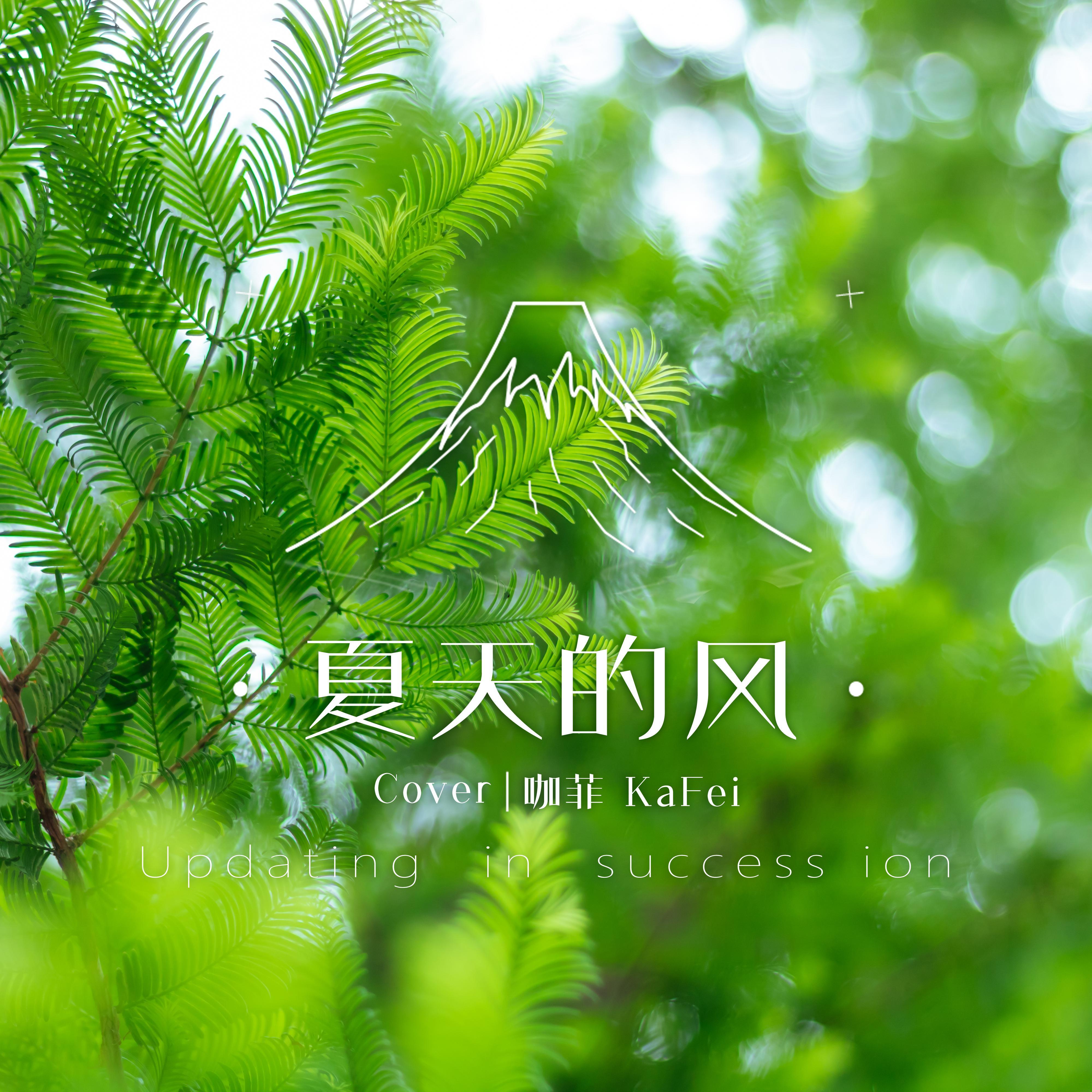 夏天的风
