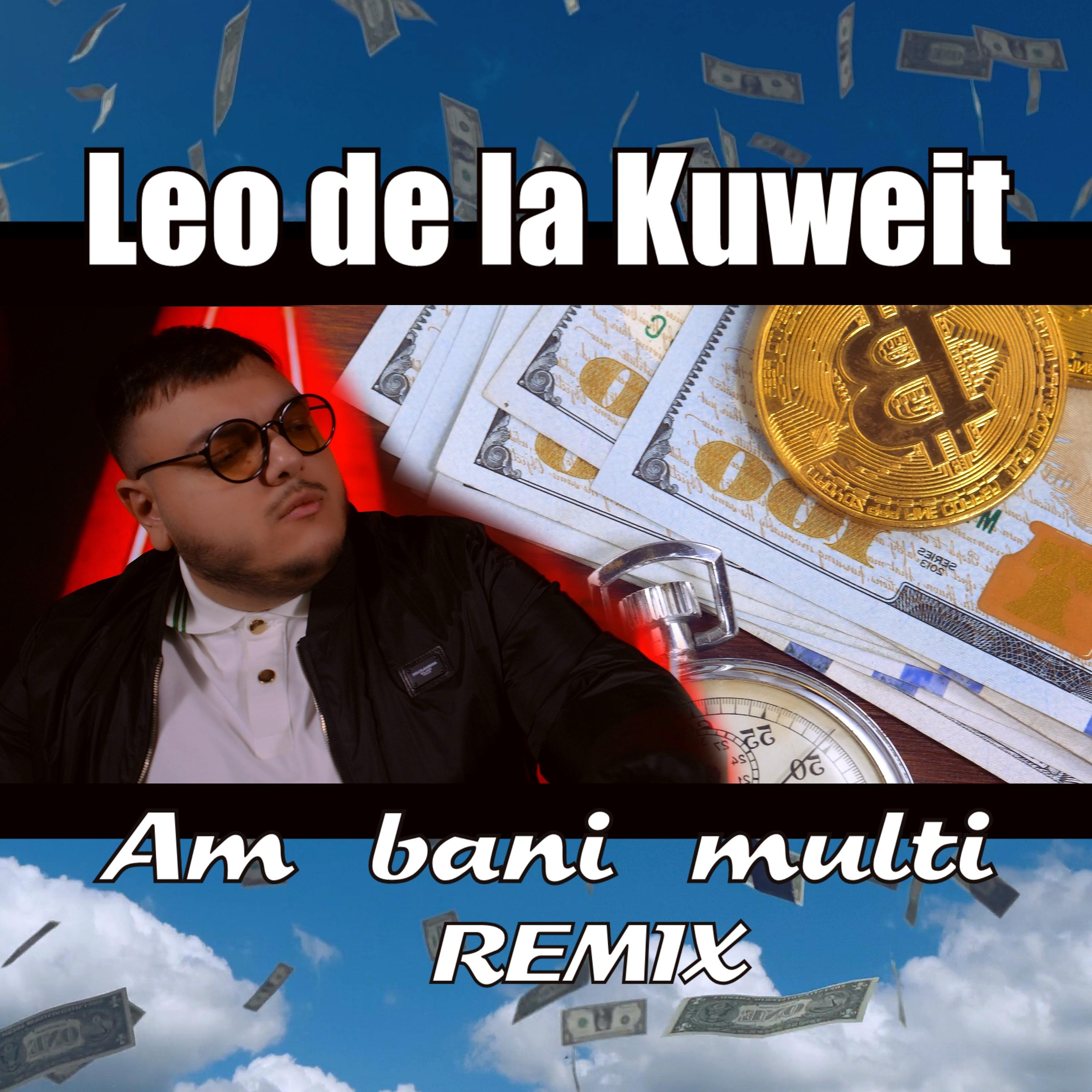 Am bani multi (Remix)