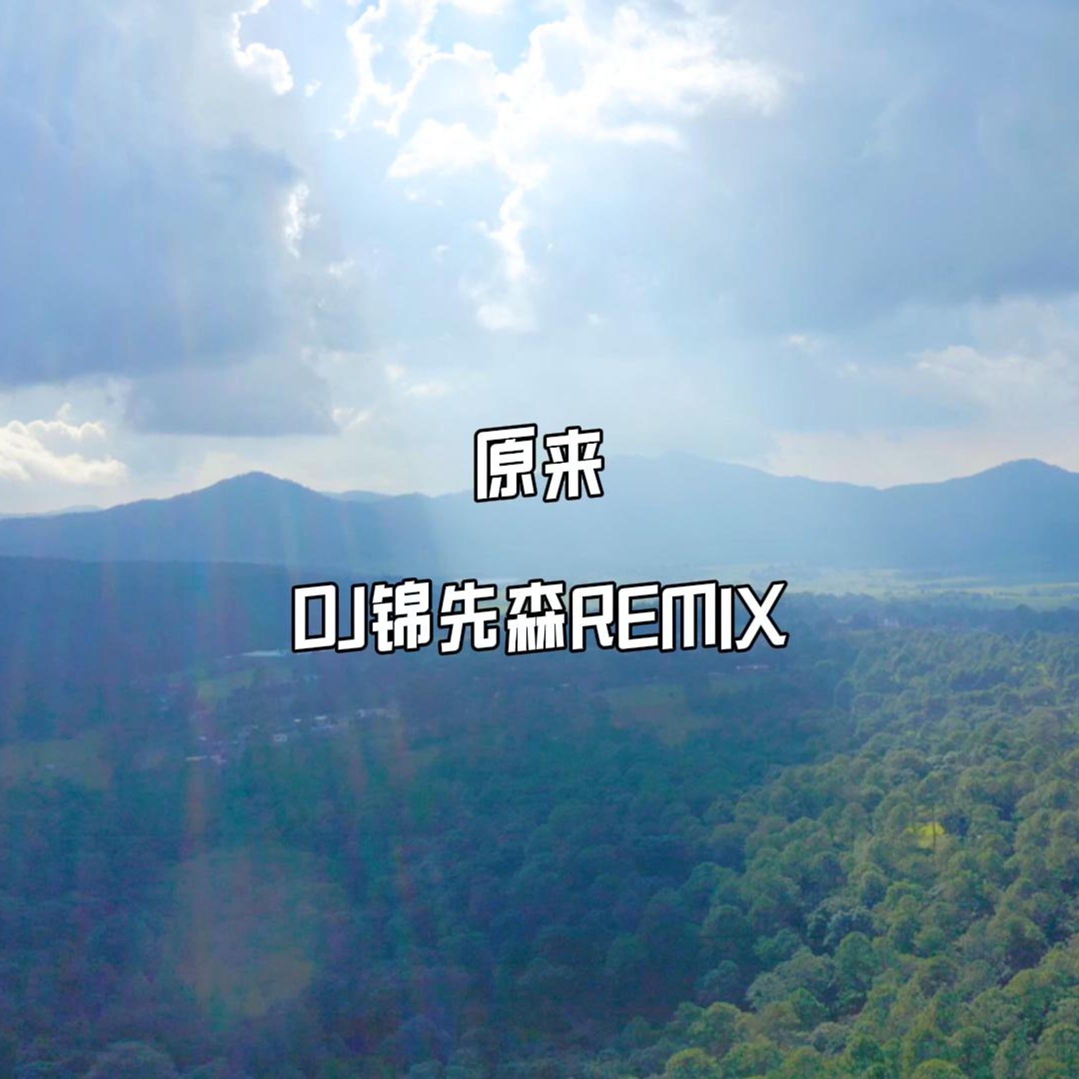 原来（DJ锦先森 Remix）