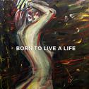 Born To Live A Life   专辑