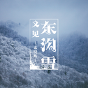 又见东沟雪专辑