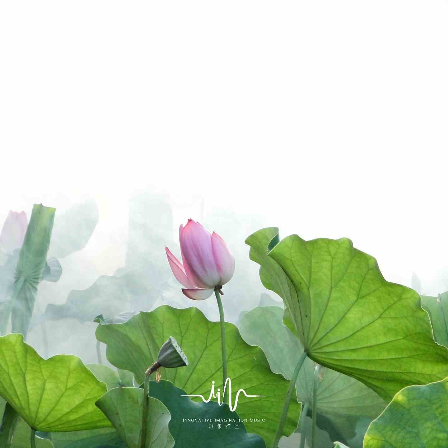 千叶雨耕|大自然雨声舒缓|脑波催眠养生曲