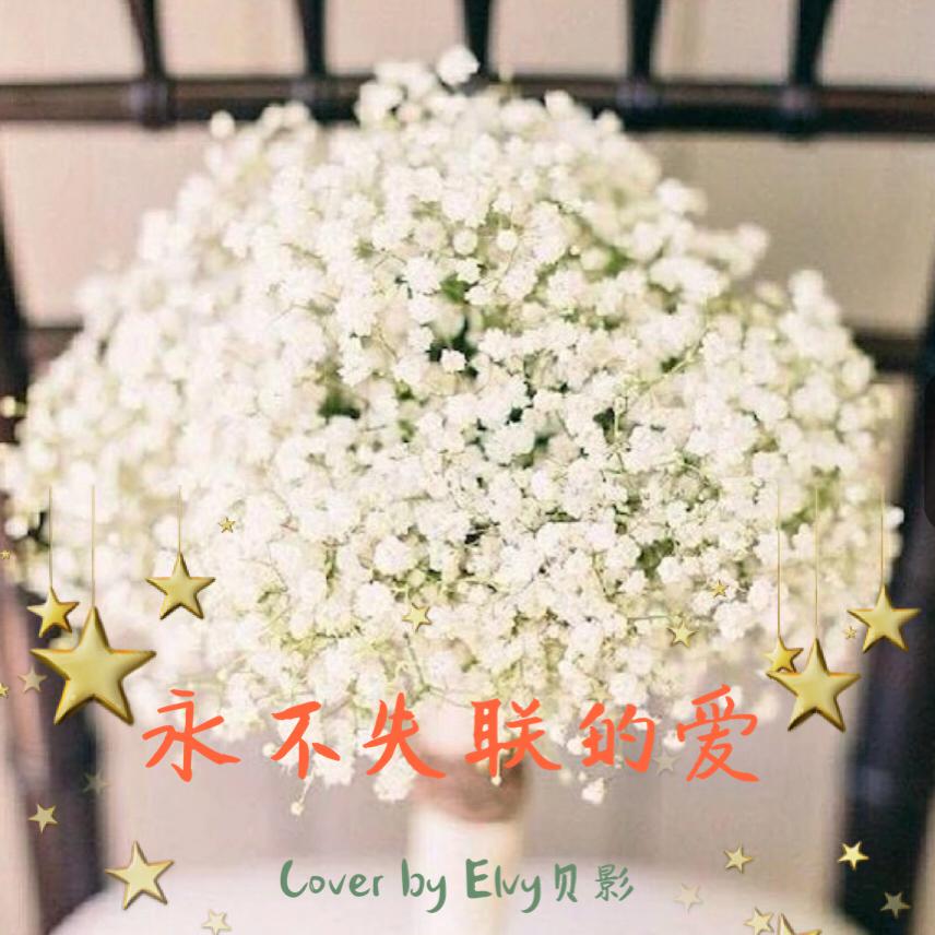 永不失联的爱 Cover专辑