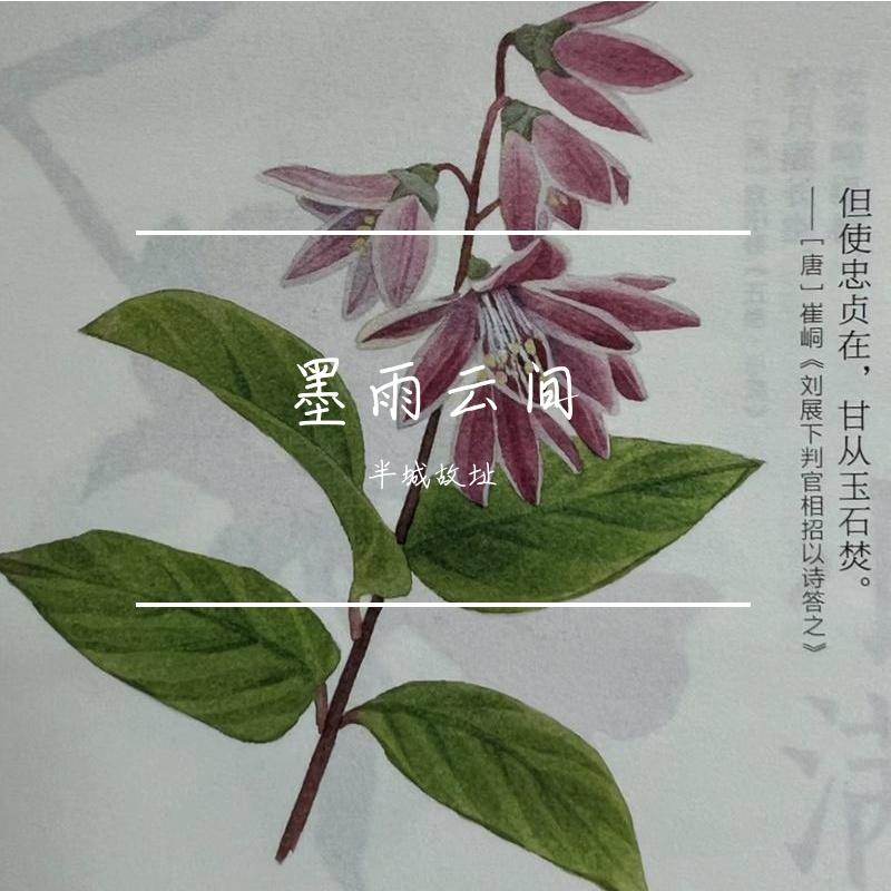 墨雨云间