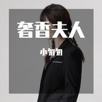 MC阿哲-奢香夫人(DJ) 伴奏 无人声 伴奏 更新AI版