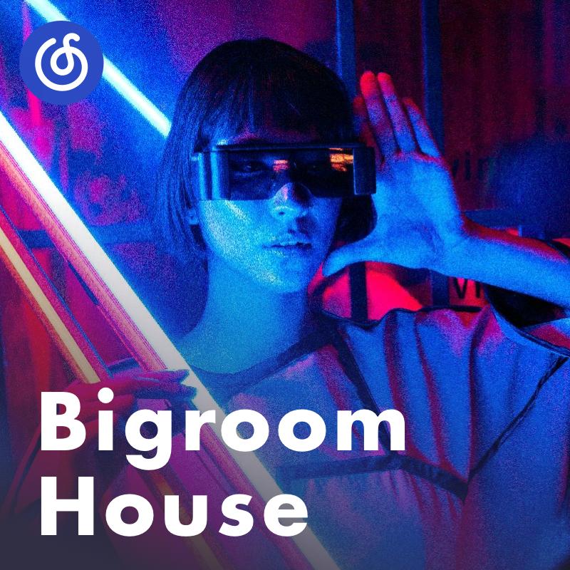 [Bigroom House] 炸裂低音 震撼人心