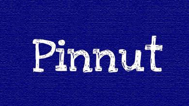 Pinnut