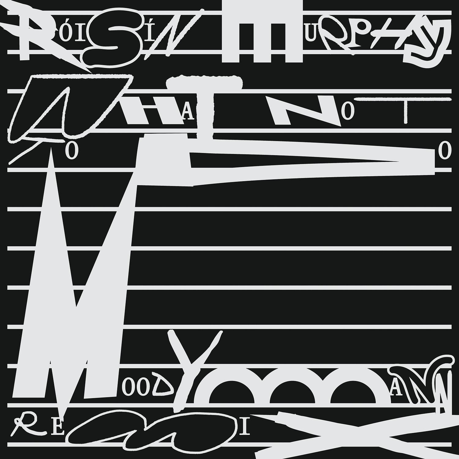 What Not to Do (Moodymann Remix)