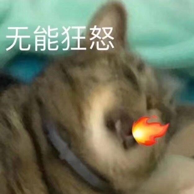 最吵的歌送给那些想吵死我的人