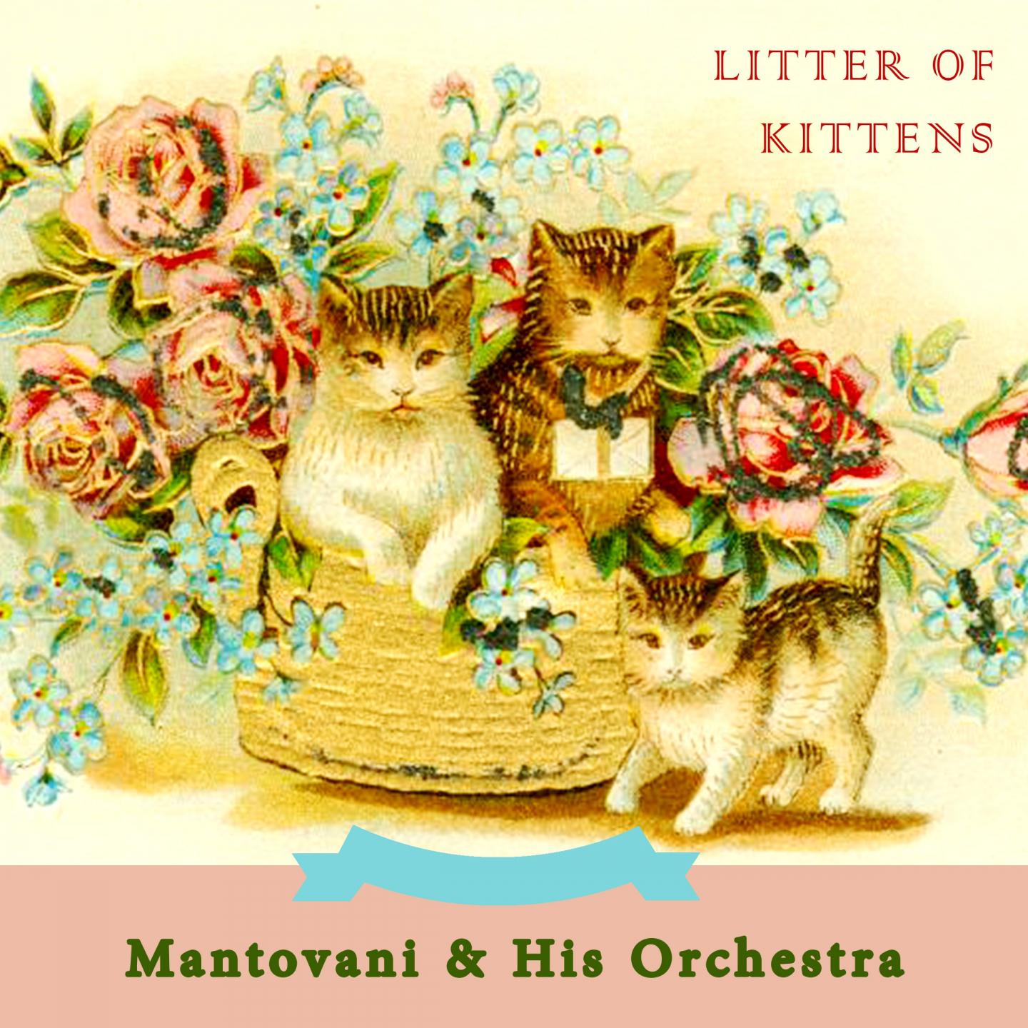 Litter Of Kittens专辑