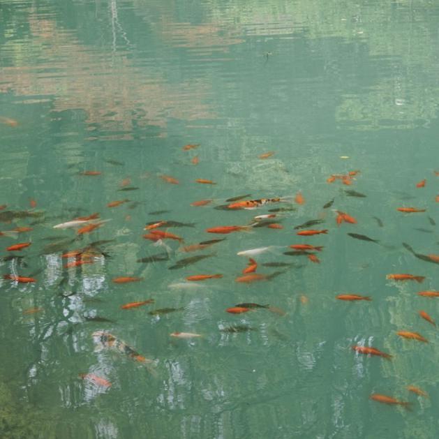 纯音乐 | 榛子的云自习室 学习|读书|写码 | 在线播放 | 网易云音乐