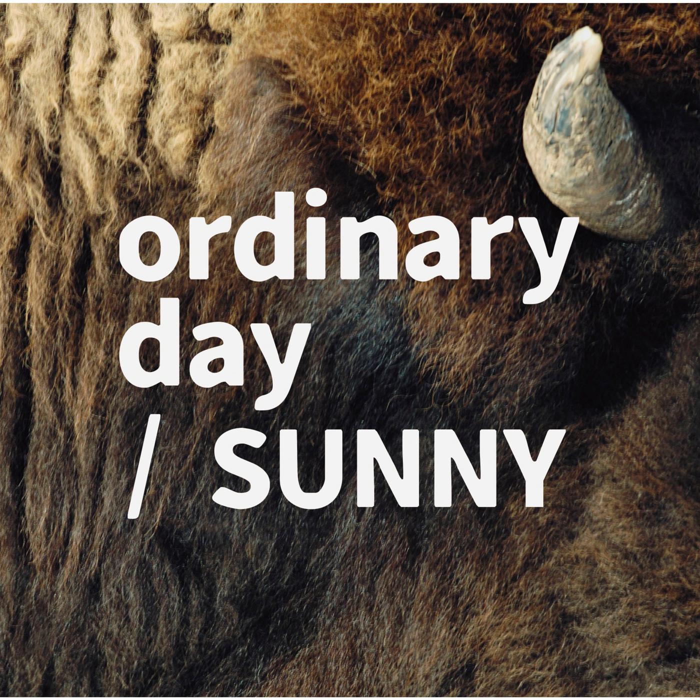 ordinary day／SUNNY